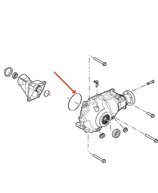 Land Rover differentiale O-ring for Range Rover L322 modellens forreste differentiale