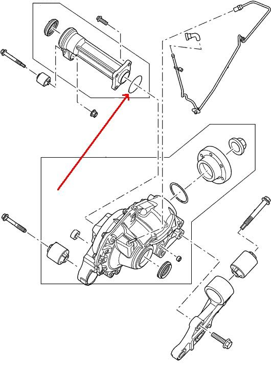 Land Rover differentiale o-ring for Range Rover Sport samt Discovery 3 & 4